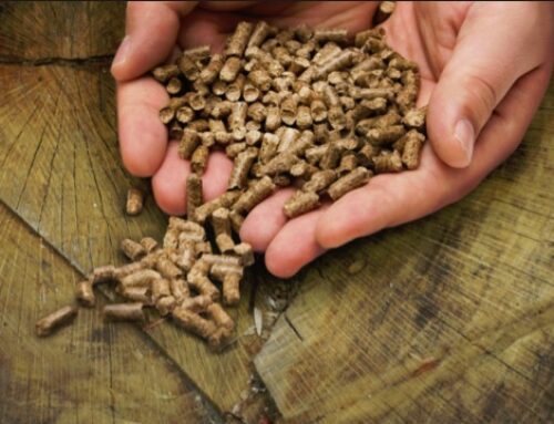 Holz und Pelletsheizung