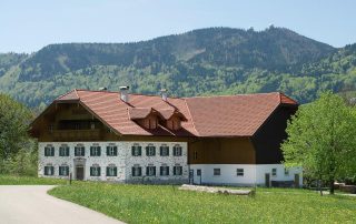 dachdecker graspointner (9)