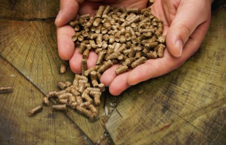 pelletsheizung graspointner mondsee